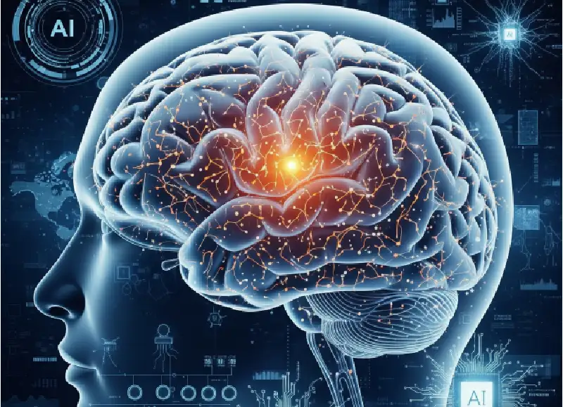 دماغ الإنسان يقدم نموذجا جديدا لتقنيات