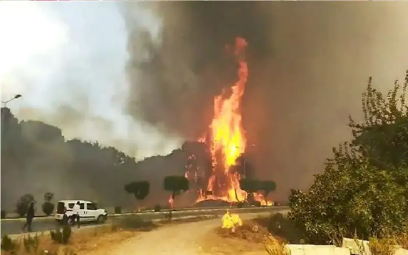 إجلاء أكثر من 50 ألف شخص