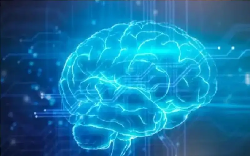 أول واجهة تفاعلية بين الدماغ والحاسوب