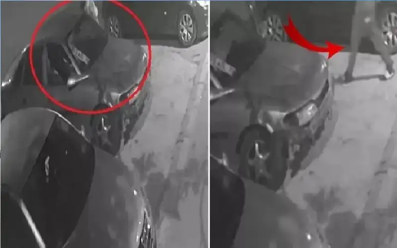 التسمم بأول أكسيد الكربون يتسبب بوفاة