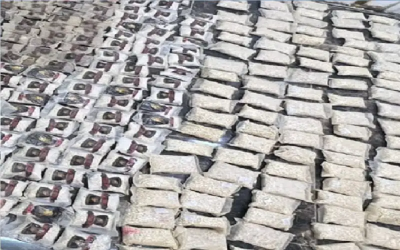 المنطقة العسكرية الشرقية تحبط محاولة تسلل