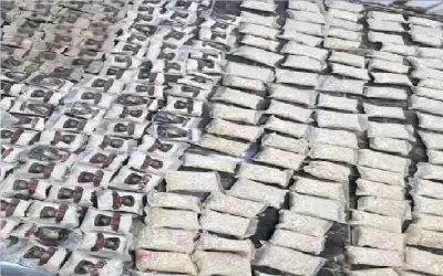 المنطقة العسكرية الشرقية تحبط محاولة تسلل