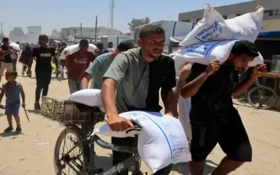 الأغذية العالمي: فرص مواجهة المجاعة في