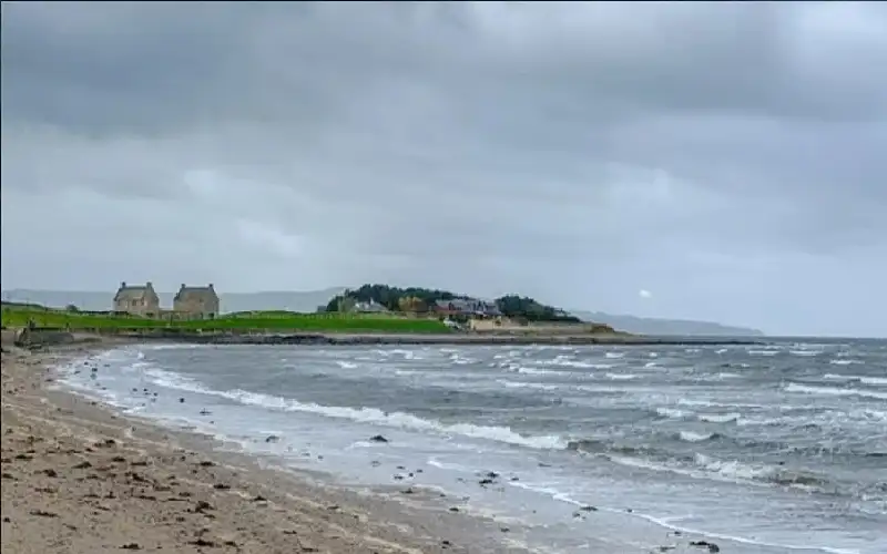 ساق بشرية تثير الذعر على شاطئ