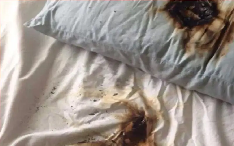 احذر في موجة الحر.. آبل تطلق