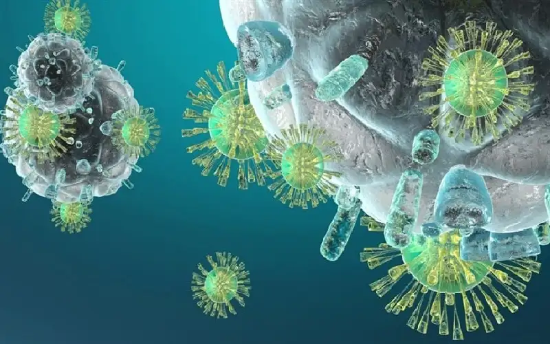 أمل جديد من الأمعاء.. بكتيريا تمتص