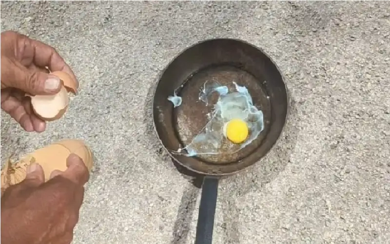 حرارة لا تحتمل.. مدرس فرنسي يقلي