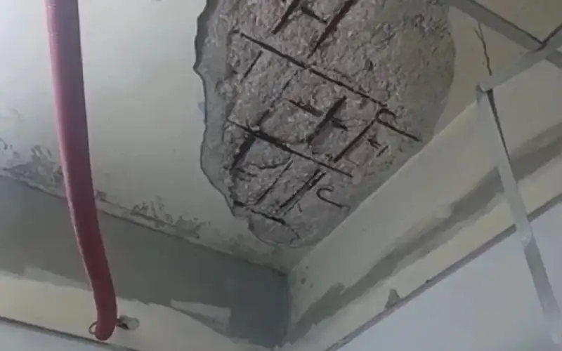 النائب العموش: وزير الصحة ينام بالعسل