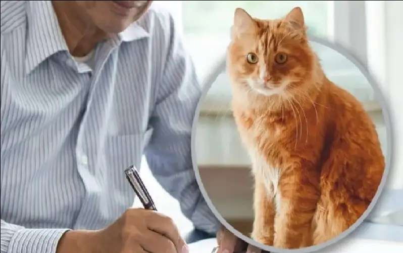 جنون الانسان المعاصر.. رجل يقرر ترك