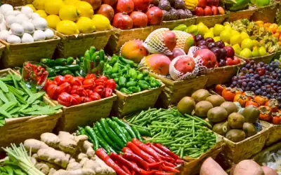 من بينها الأردن .. الفاو: ارتفاع