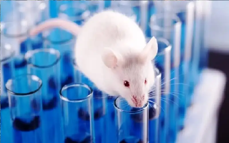 تنتج خلال 10 أيام فقط.. خلايا