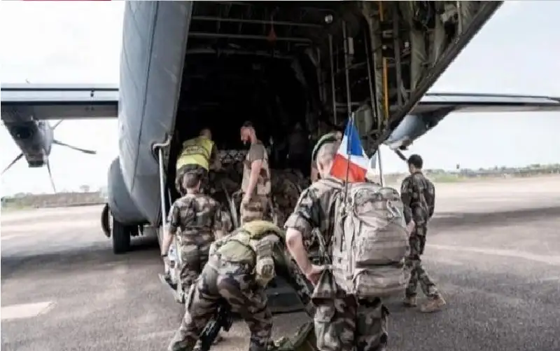 فرنسا تغادر روفيسك.. السنغال تكتب نهاية