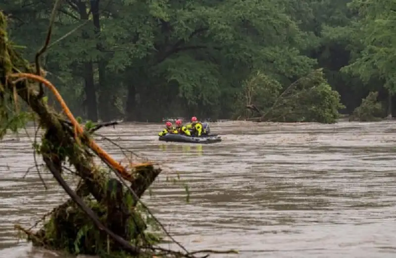 شجرة تنقذ امرأة بعد أن سحبها
