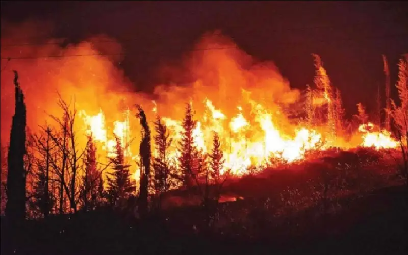 سائق يغامر بحياته على طريق مشتعل