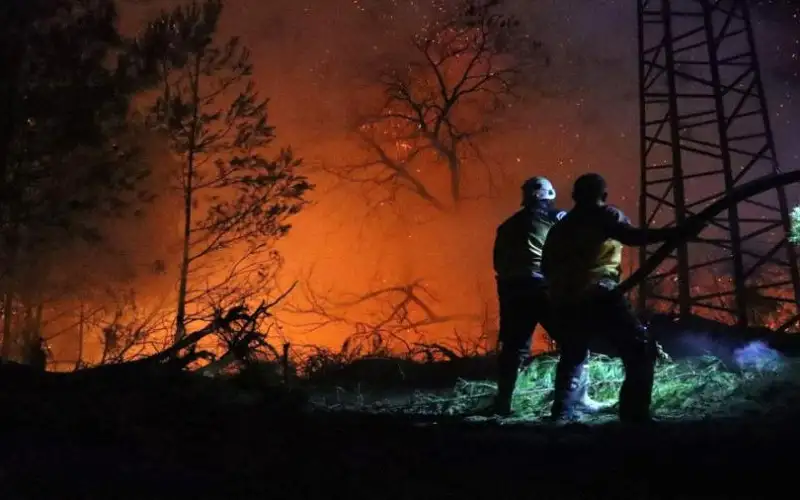 الطوارئ السورية: تضرر 10 آلاف هكتار