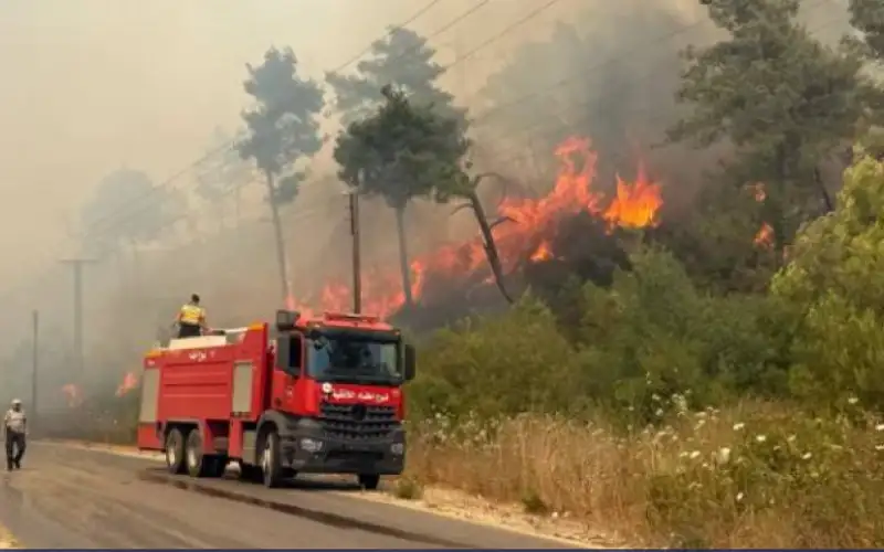 لليوم الرابع .. حرائق اللاذقية تواصل