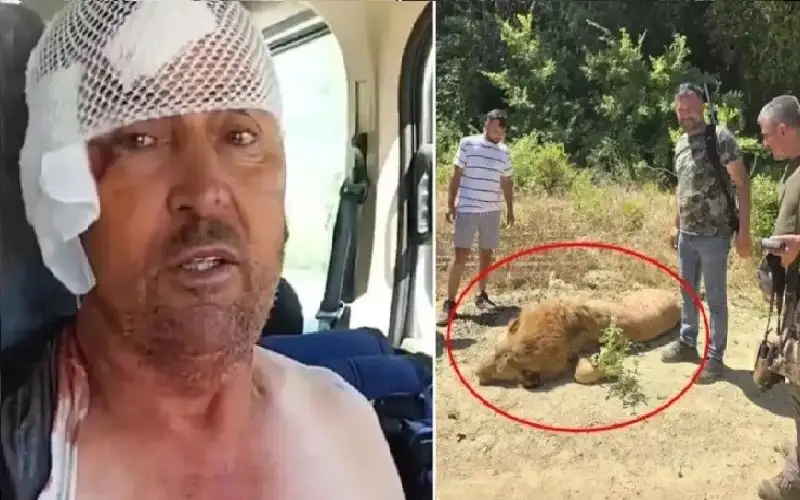 لحظة رعب.. فلاح استيقظ من نومه