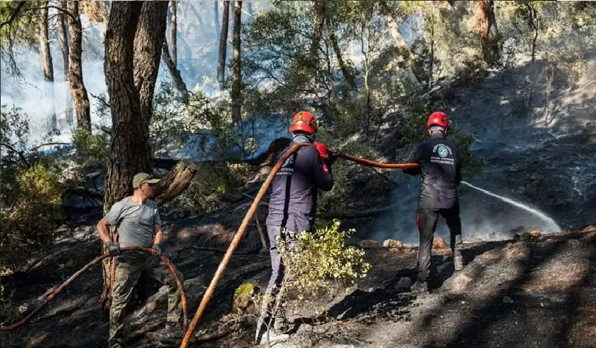 تركيا تسجل أكثر من 750 حريقا