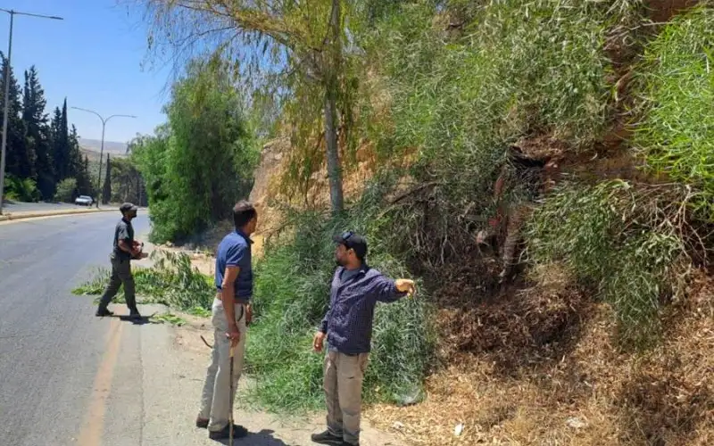 محافظ جرش يوجه لتجميل مداخل مدينة