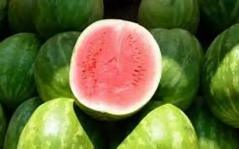 مكافحة الأوبئة للاردنيين: الفيروس المعوي المنتشر