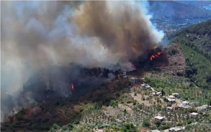 اللاذقية تحترق.. النيران تلتهم 14 ألف