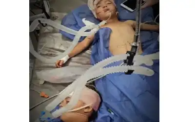 في مجزرة جديدة للاحتلال بمخيم الشاطئ..