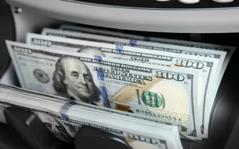 البنك الدولي: 950 ألف مستفيد من