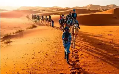 في ملف الصحراء المغربية.. توافق دولي