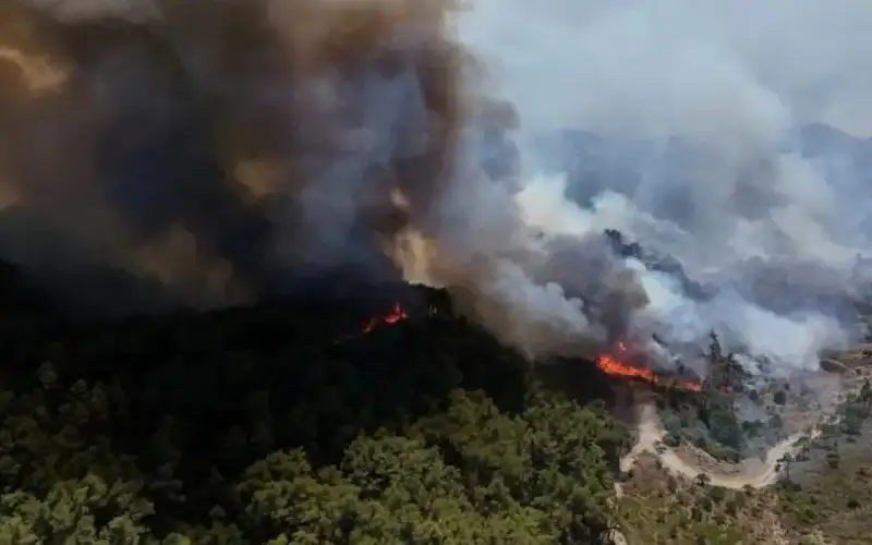 الطوارئ السورية: حرائق الغابات باللاذقية امتدت