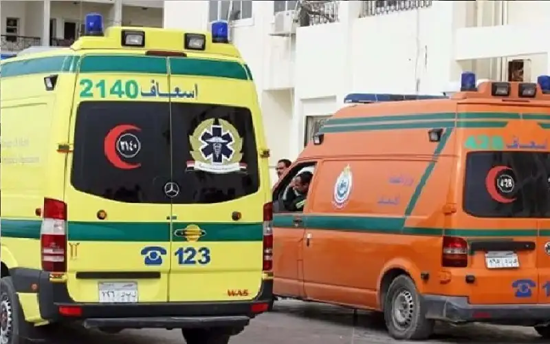 في مصر.. سيدة تعتدي على زوجها