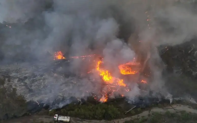 الحرائق تدمر 15 ألف هكتار في