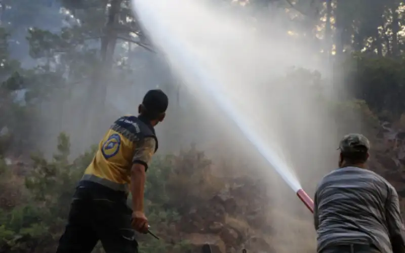 سوريا: نتحقق من أسباب حرائق اللاذقية