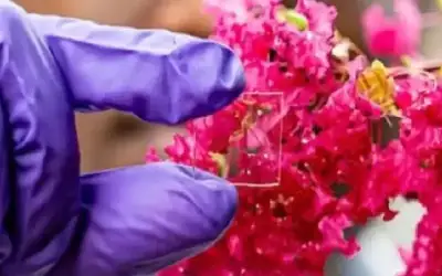 ابتكار طلاء لزجاج النوافذ يقاوم الحر