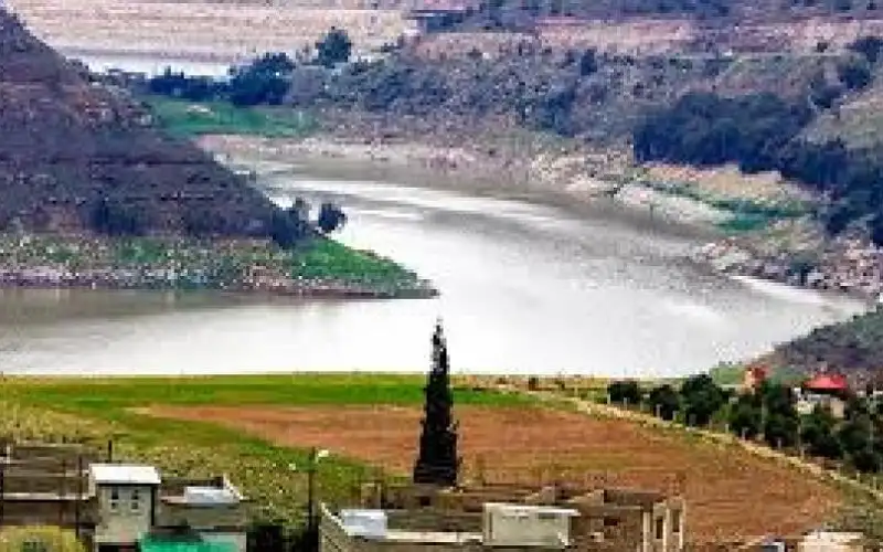 زريقات: الناقل الوطني الحل الوحيد لأزمة