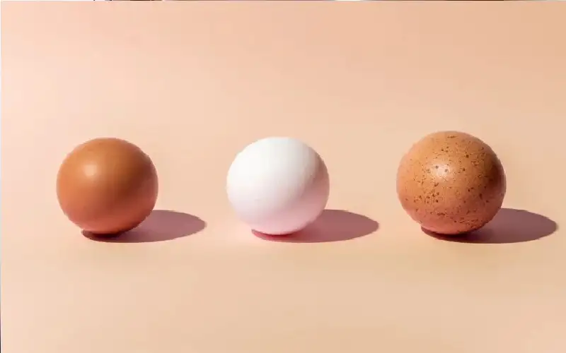 عنصر غذائي في البيض يقلل خطر