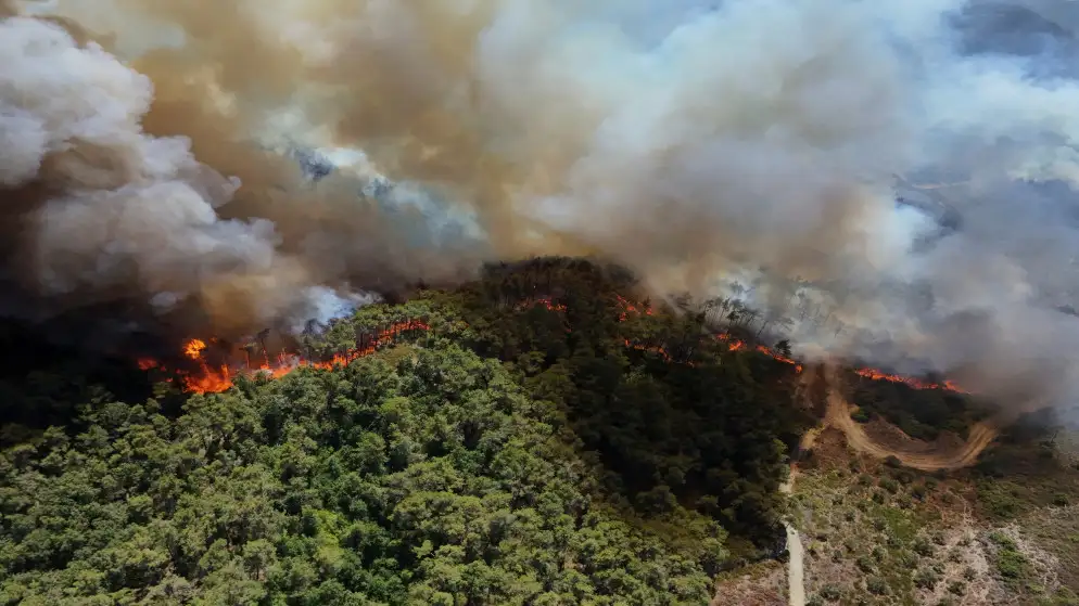 وزير الطوارئ السوري يشكر الأردن ويعلن