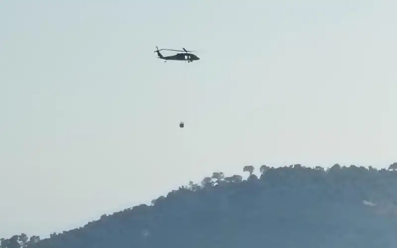 وزارة الزراعة : الفرق المختصة قريبة