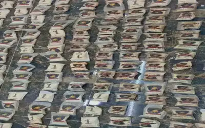 إحباط تهريب مخدرات بوساطة مسيرة في