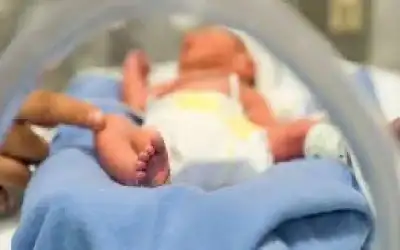 النقل النووي تقنية تلقيح اصطناعي لتخطي