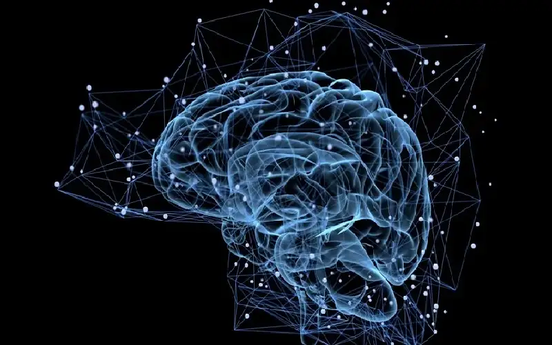 بطاريات احتياطية في المخ.. سر يكشف