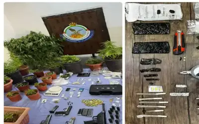 القبض على 65 مطلوبا ومروجا للمخدرات