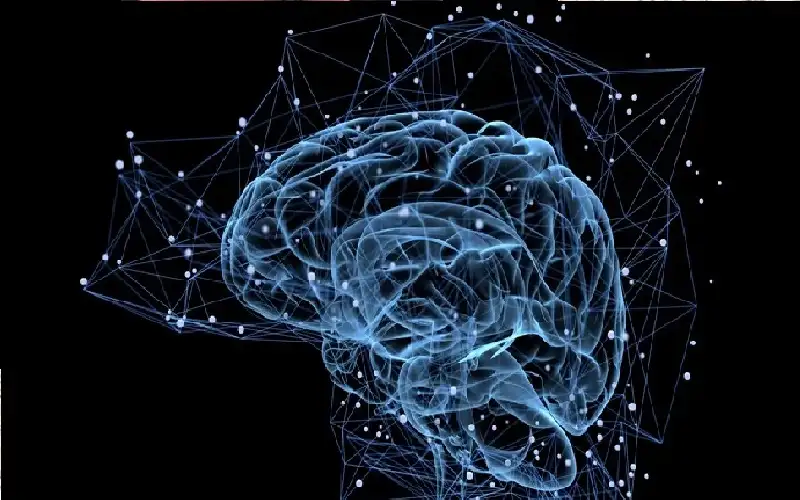 بطاريات احتياطية في المخ.. سر يكشف