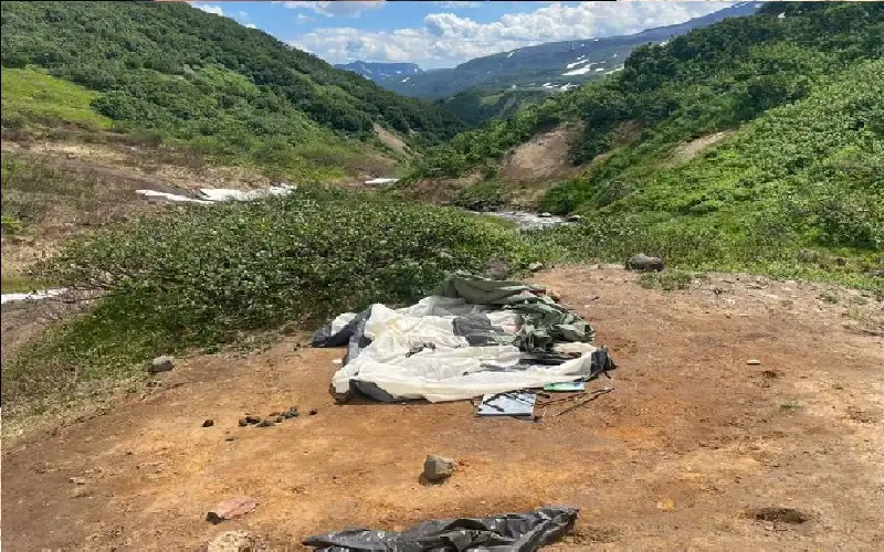 دب يهاجم سائحة أثناء نومها في