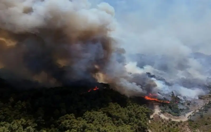 وزارة الدفاع السورية: القبض على أشخاص