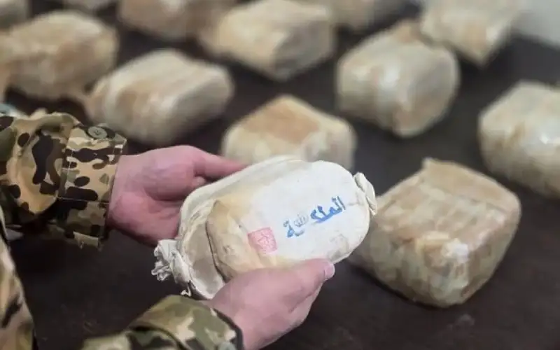 إحباط تهريب 28 كغ من الحشيش