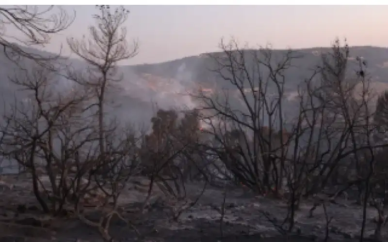 جمعية البيئة: تشديد العقوبات بحق من