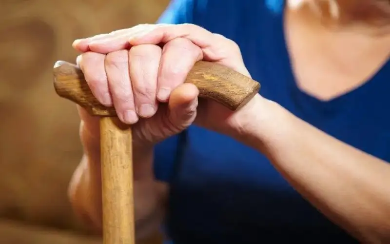 الضمان الاجتماعي : التقاعد المبكر يرهقنا