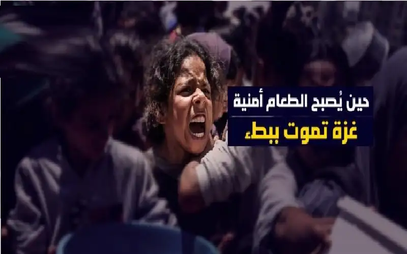 نفسي أستشهد عشان آكل.. أطفال غزة