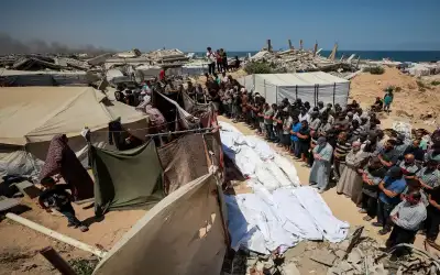 أكثر من 100 منظمة غير حكومية