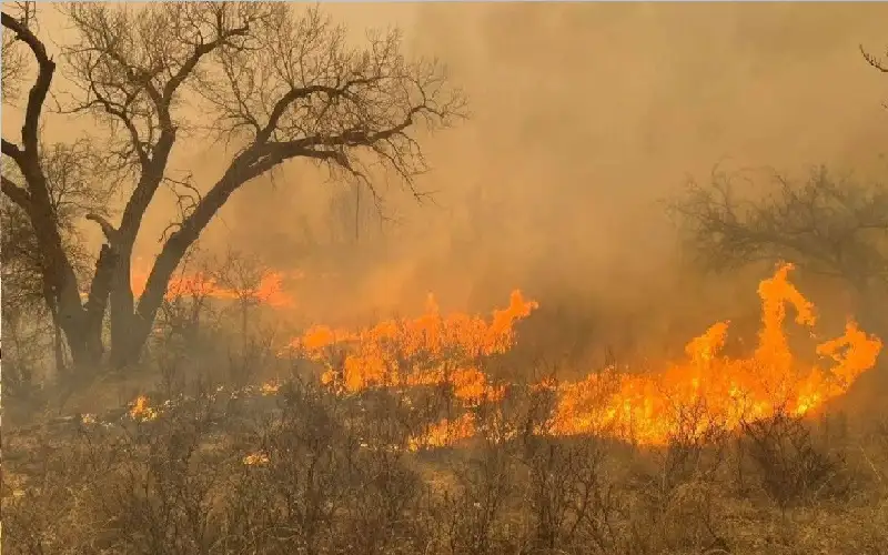 المعلومات المضللة تعرض الأرواح للخطر خلال
